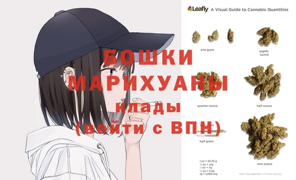 индика Баксан