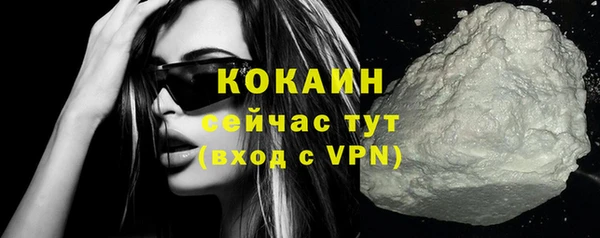 индика Баксан