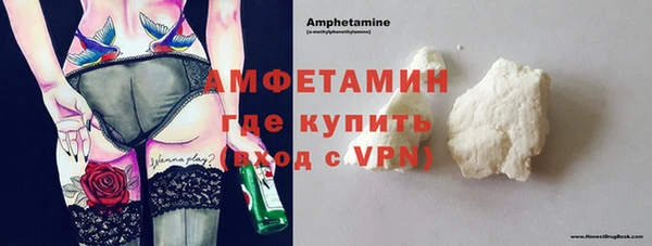 индика Баксан