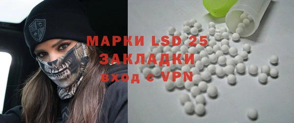 индика Баксан