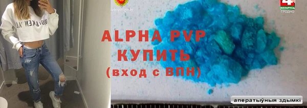 индика Баксан