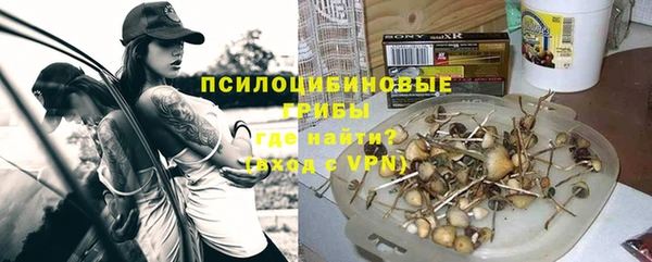 индика Баксан
