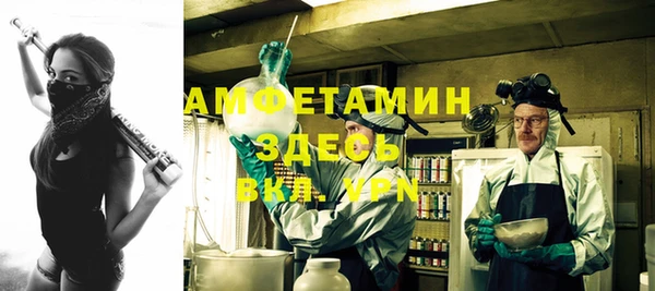 индика Баксан