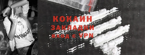 индика Баксан