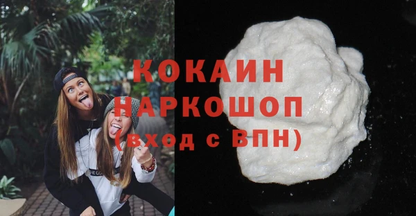 индика Баксан