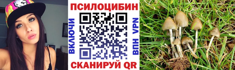 наркотики  Нерюнгри  Галлюциногенные грибы прущие грибы 